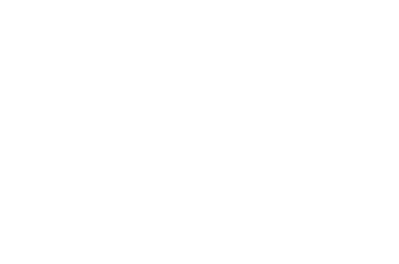 WLF X BOLD